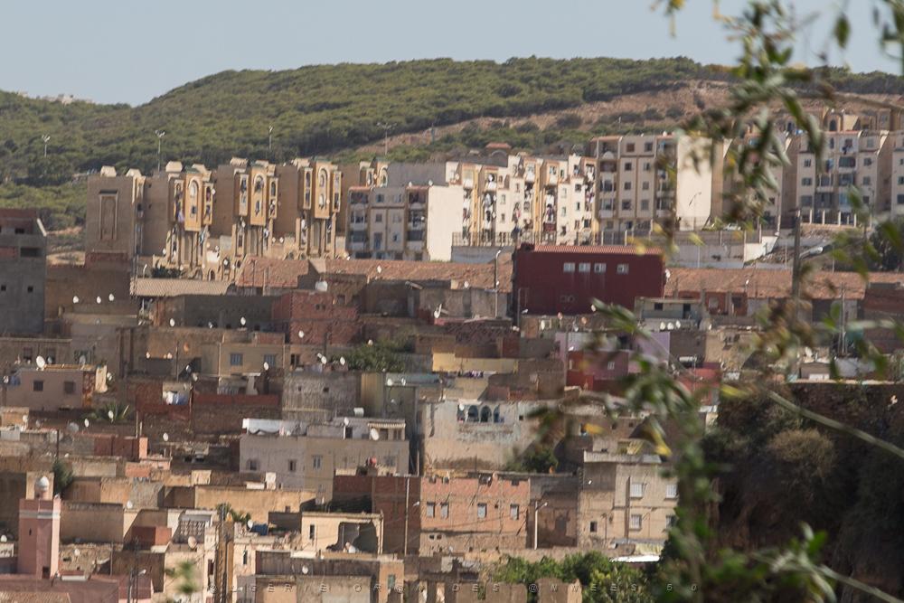 Oranie 2017-509.jpg